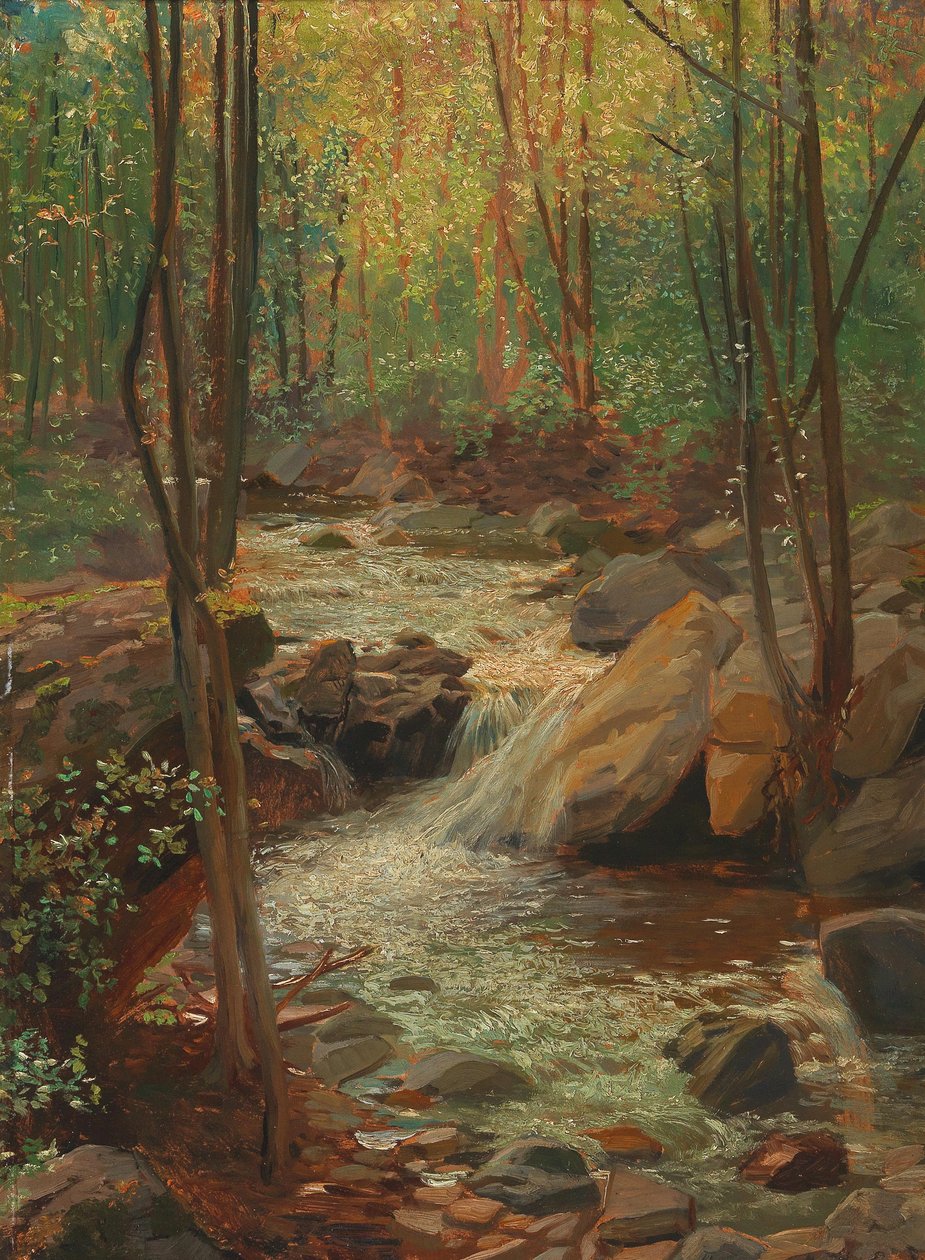 Córrego da floresta de Alexander Demetrius Goltz