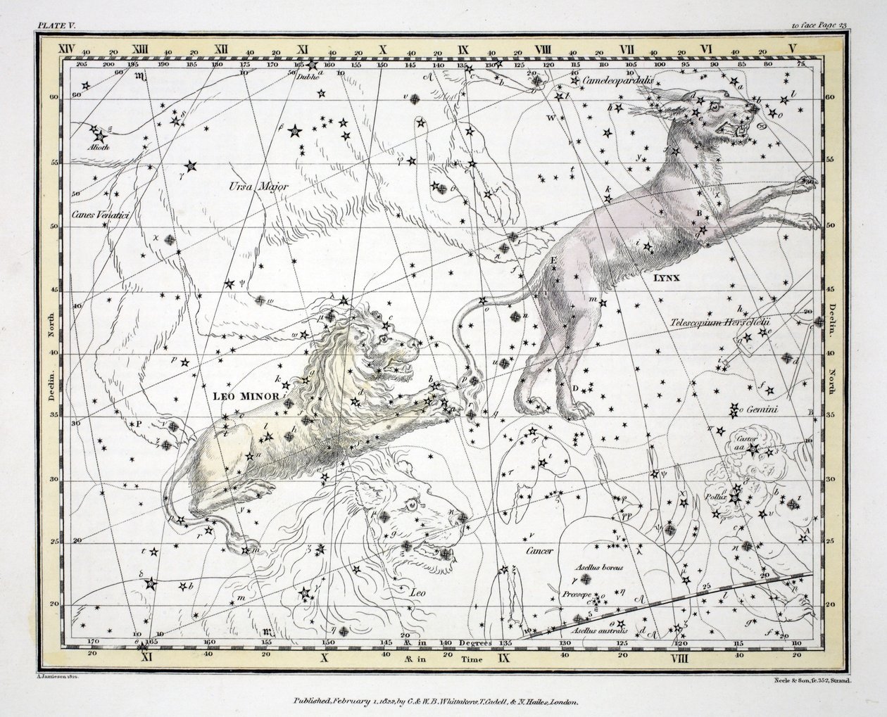 As Constelações (Placa V) Lynx, Leo Menor, de &39;A Celestial Atlas&39; por Alexander Jamieson, pub. Londres 1822 (gravura colorida à mão); de Alexander Jamieson