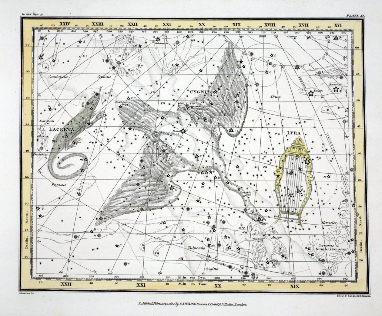 As Constelações (Placa XI) Cygnus, Lacerta e Via Lactea, de &39;A Celestial Atlas&39; de Alexander Jamieson, pub. Londres 1822 (gravura colorida à mão) de Alexander Jamieson