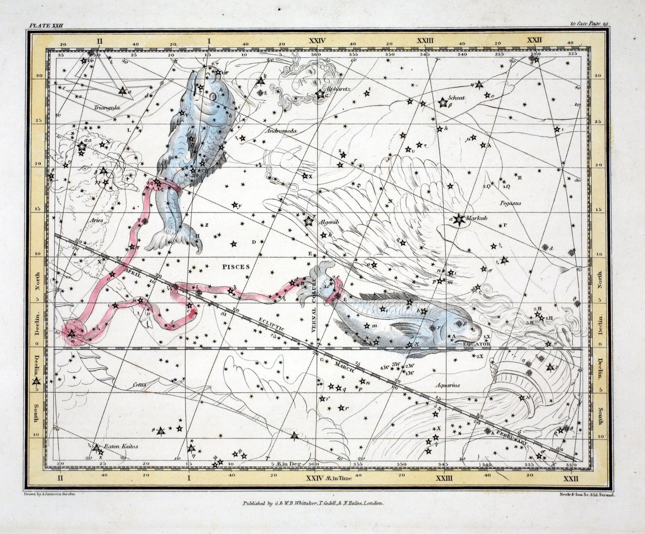 As Constelações (Placa XXII) Peixes, de &39;A Celestial Atlas&39; de Alexander Jamieson, pub. Londres 1822 (gravura colorida à mão) de Alexander Jamieson