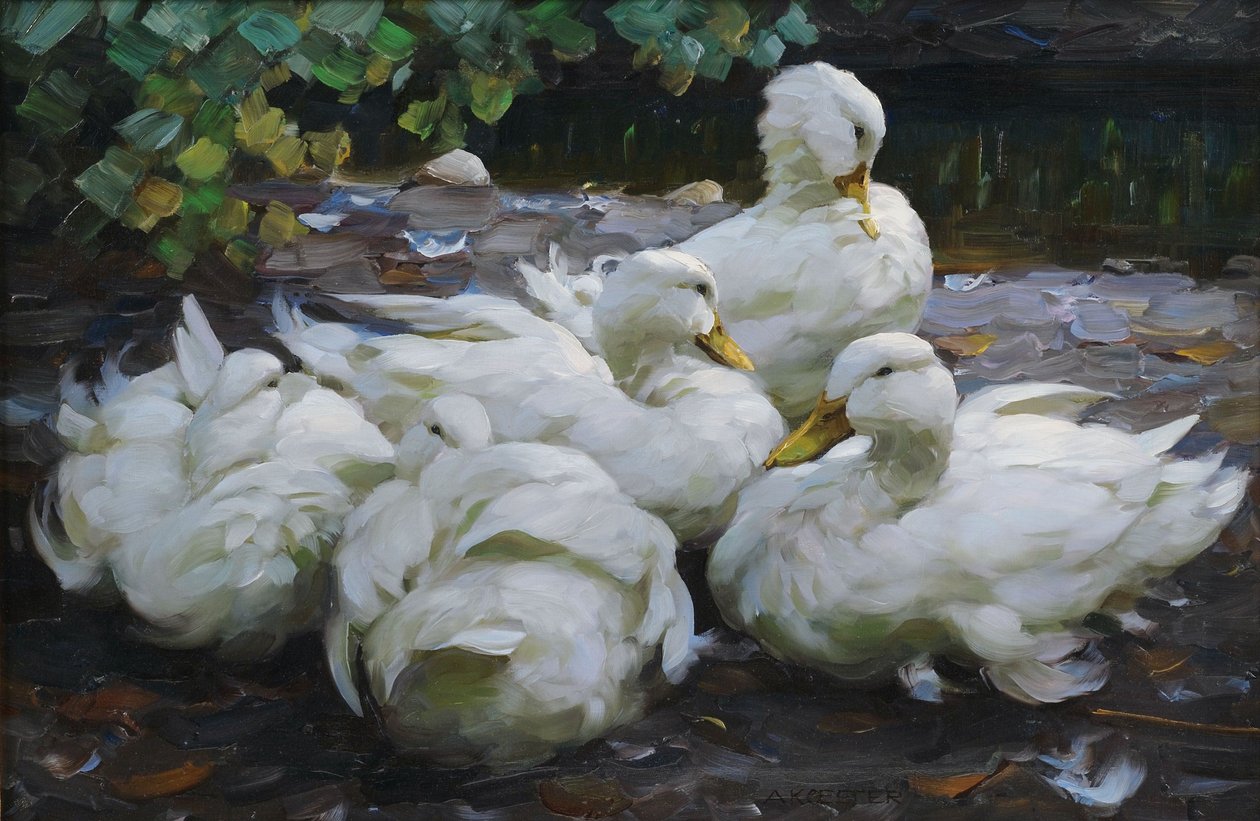 Cinco patos brancos em repouso de Alexander Koester