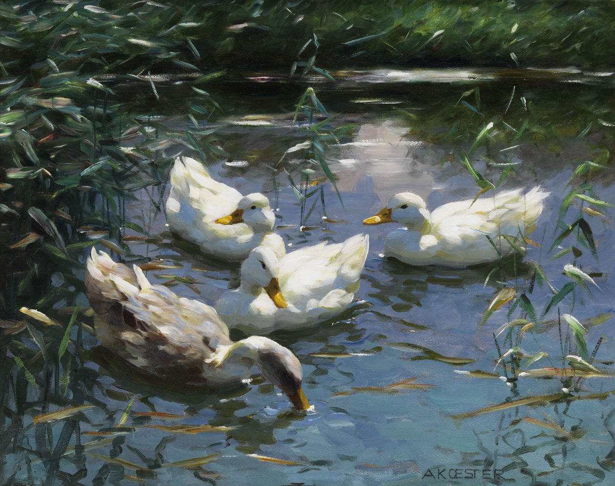 Quatro patos na lagoa de Alexander Koester