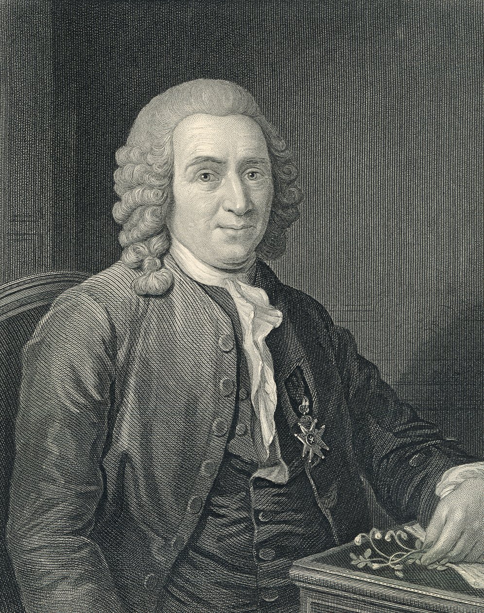 Retrato de Carolus Linnaeus de Alexander (after) Roslin