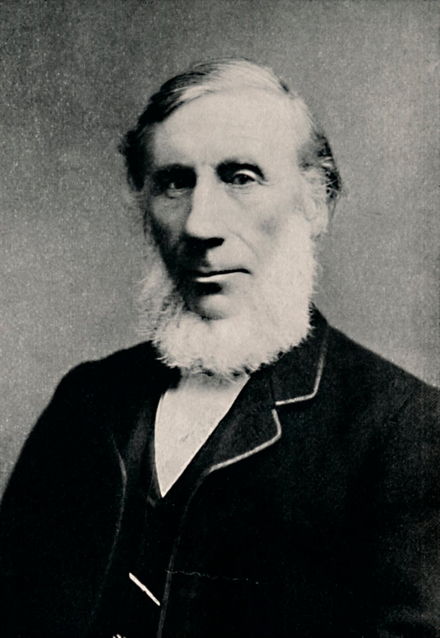 Professor John Tyndall, c1880, 1904 de Alexander Bassano