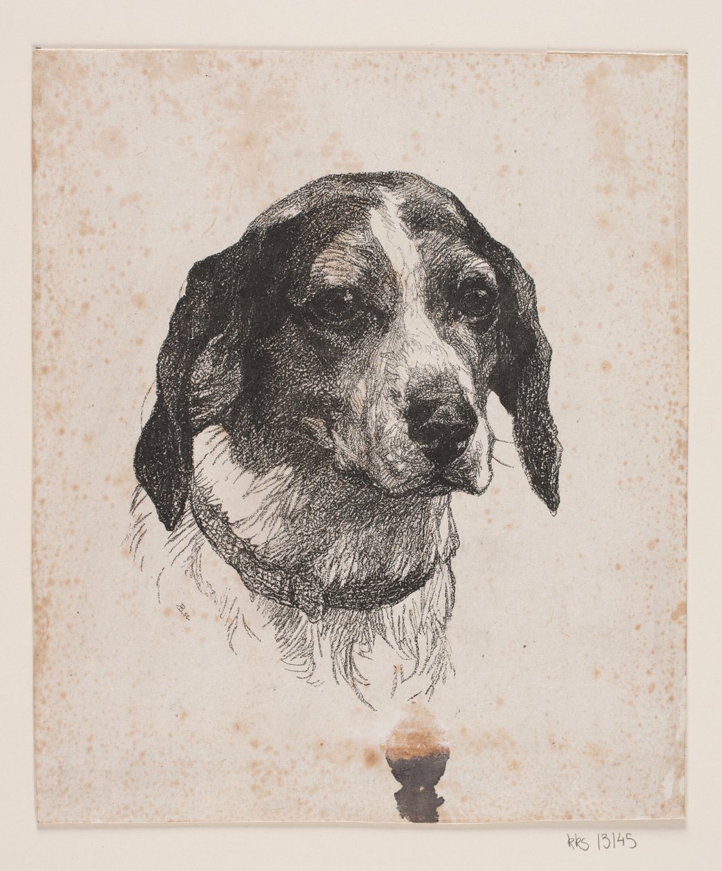 A cabeça de um cão de Alexander Blom