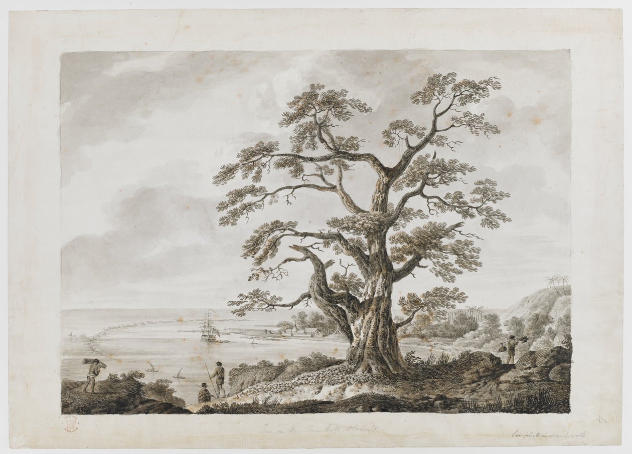 Adicionar. 15508, nº 4, Tree on the Tree Hill, Otaheite, de 