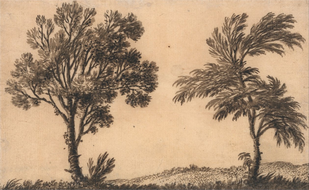 Estudo de dois salgueiros de Alexander Cozens