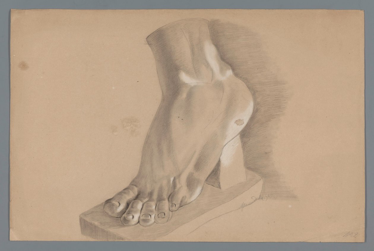 Modelo em gesso de um pé de Alexander Cranendoncq