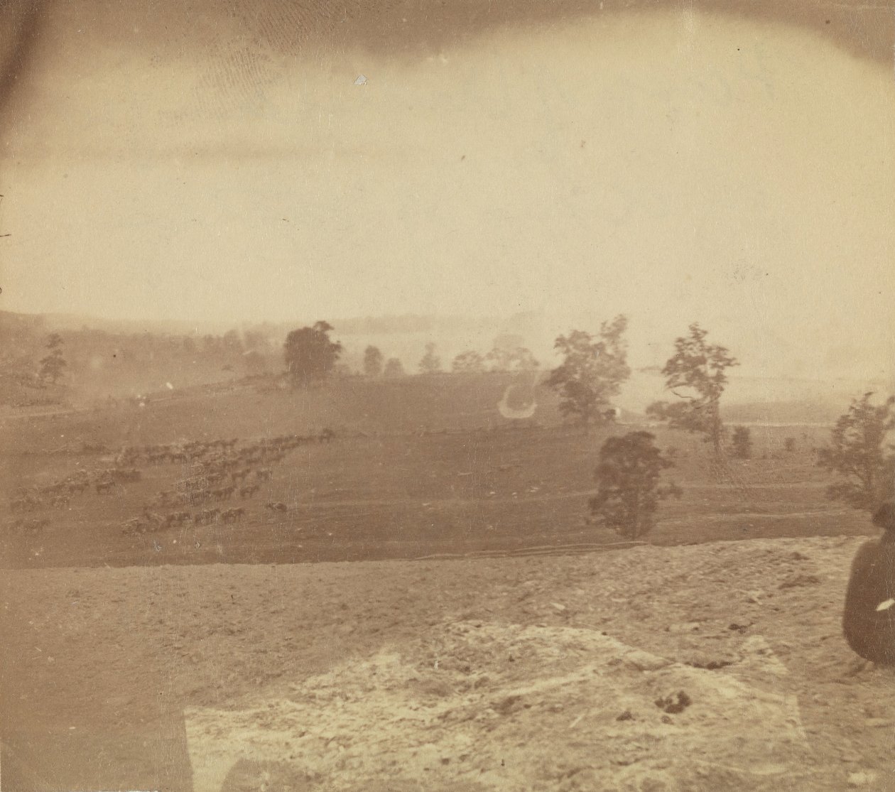 [Campo de Batalha Antietam], 1862. de Alexander Gardner