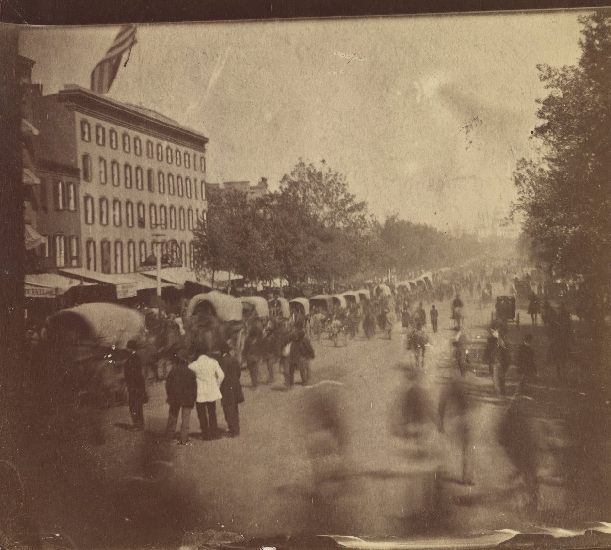 [Grand Army Review, Washington, D.C.], maio de 1865. de Alexander Gardner