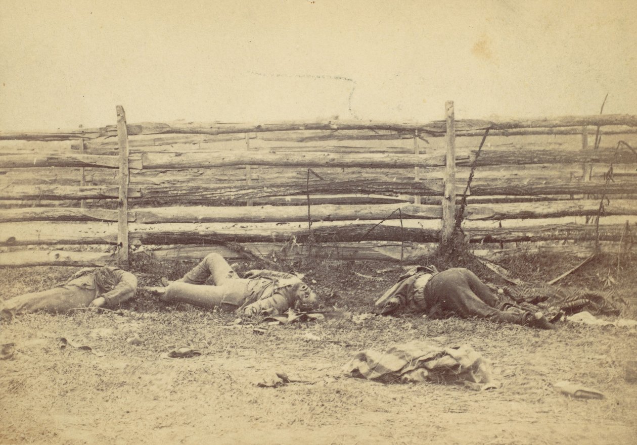 Vista no campo, no lado oeste da estrada de Hagerstown, após a batalha de Antietam, ..., 1862. de Alexander Gardner