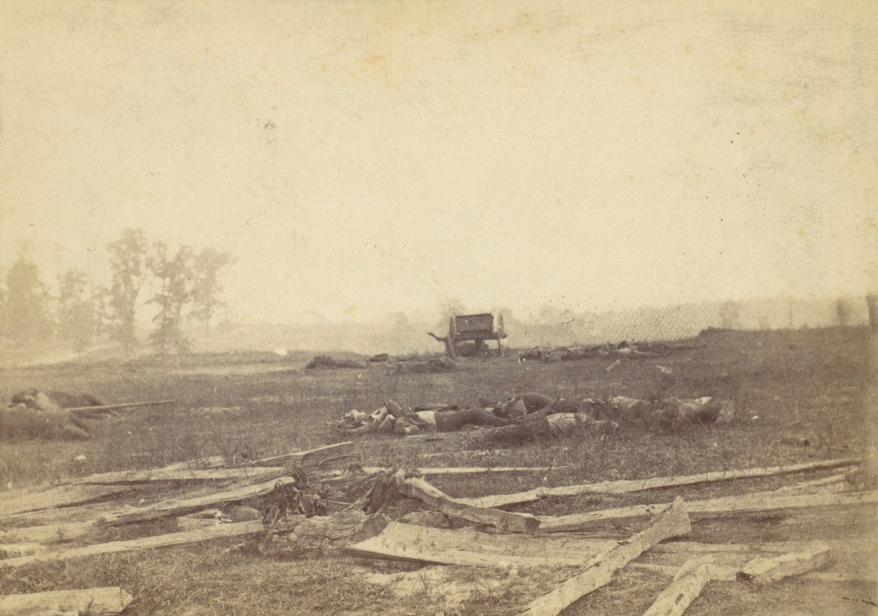Vista no campo de batalha de Antietam, setembro de 1862, 1862. de Alexander Gardner