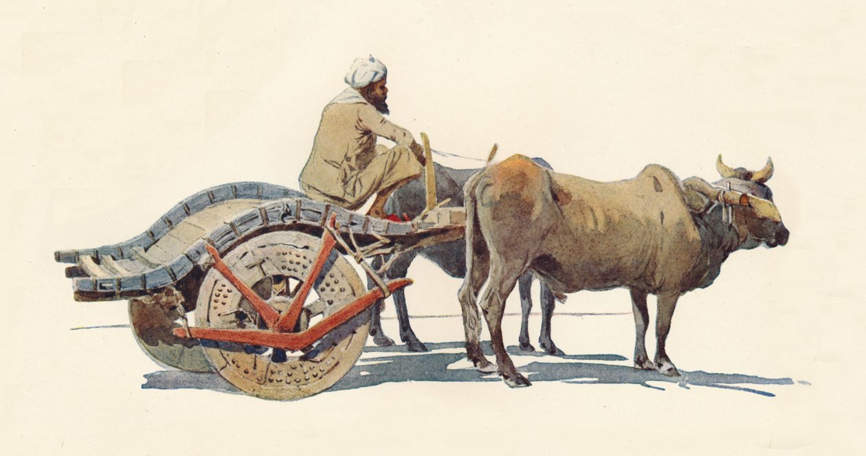 Um carro de boi, Jodhpur, c1880 1905. de Alexander Henry Hallam Murray