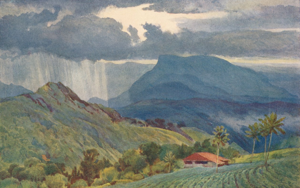 Um chuveiro tropical, c1880 1905. de Alexander Henry Hallam Murray