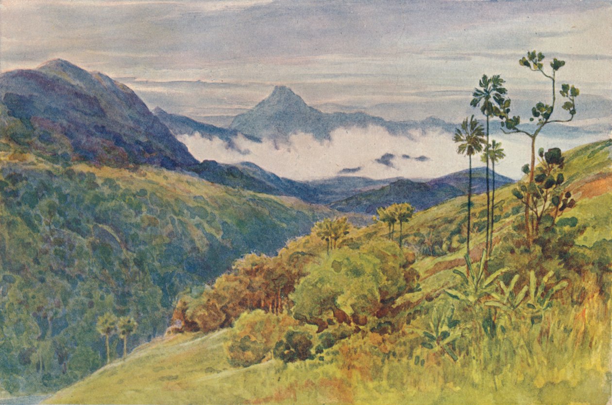 Brumas da manhã no vale do Mahawelli Gangha, c1880 1905. de Alexander Henry Hallam Murray