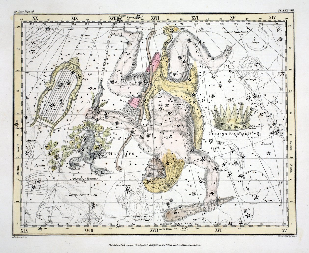 As constelações (placa VIII) Coronoa Borealis, Hercules e Cerberus, Lyra, de "um atlas celestial" por Alexander Jamieson, bar. Londres 1822 (gravura colorida à mão) de Alexander Jamieson