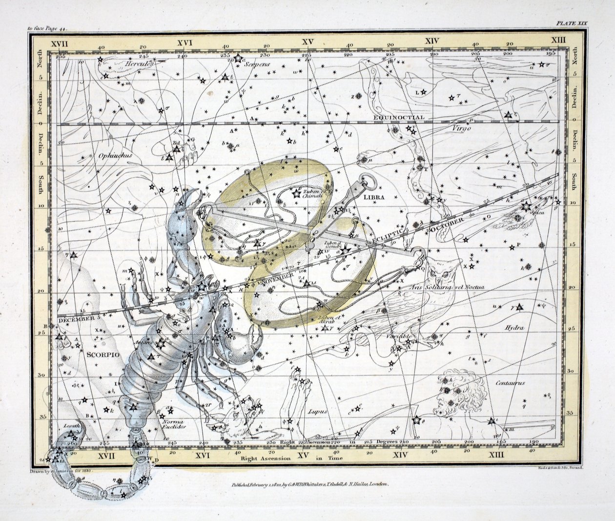 As Constelações (Placa XIX) Libra e Escorpião, de &39;A Celestial Atlas&39; de Alexander Jamieson, pub. Londres 1822 (gravura colorida à mão) de Alexander Jamieson