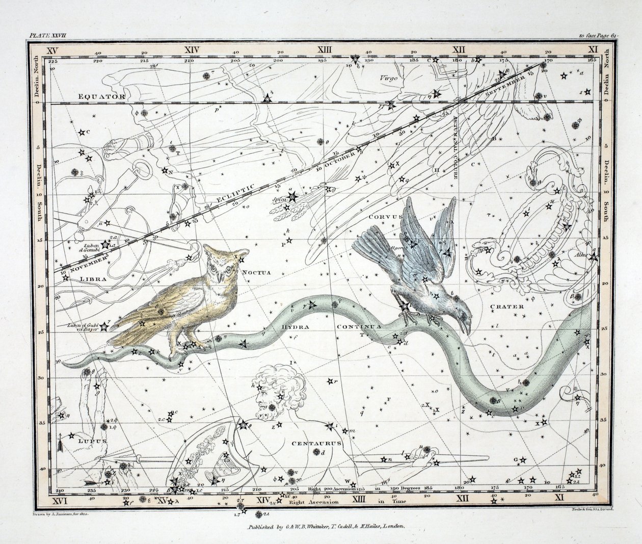 As Constelações (Placa XXVII) Hydra Continua, Cratera, Covus, Centaurus e Lupus, de &39;A Celestial Atlas&39; de Alexander Jamieson, pub. Londres 1822 (gravura colorida à mão) de Alexander Jamieson