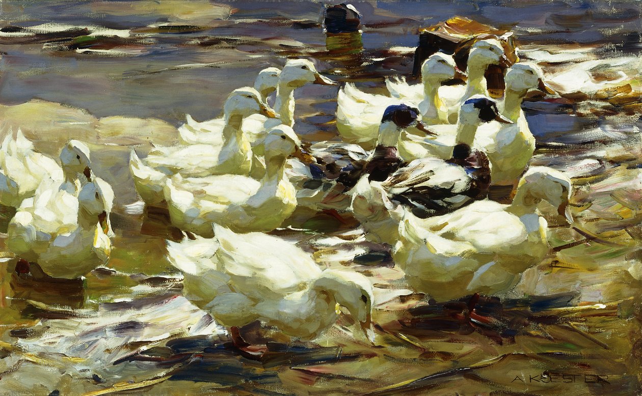 Patos na lagoa; Patos na lagoa de Alexander Koester