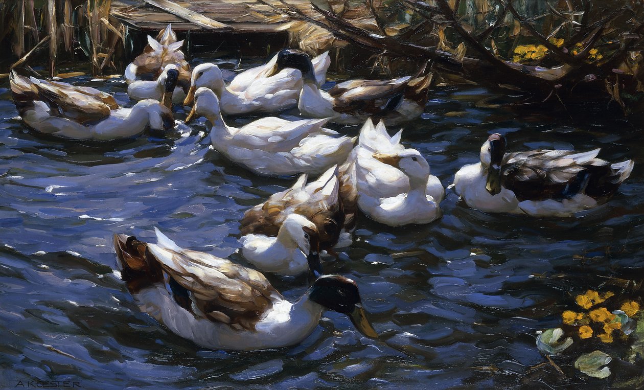 Patos nos juncos sob os ramos de Alexander Koester