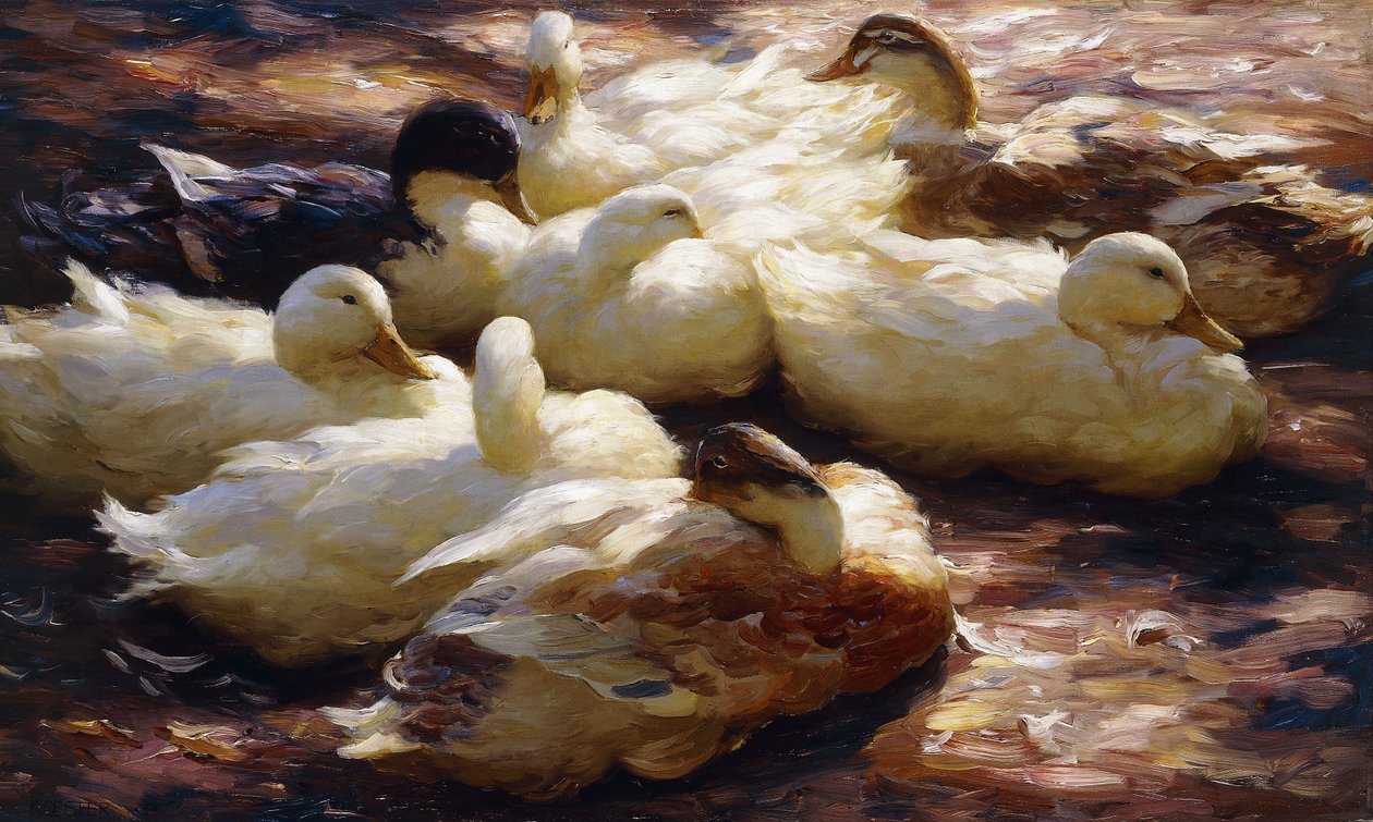Patos na margem de um rio de Alexander Koester