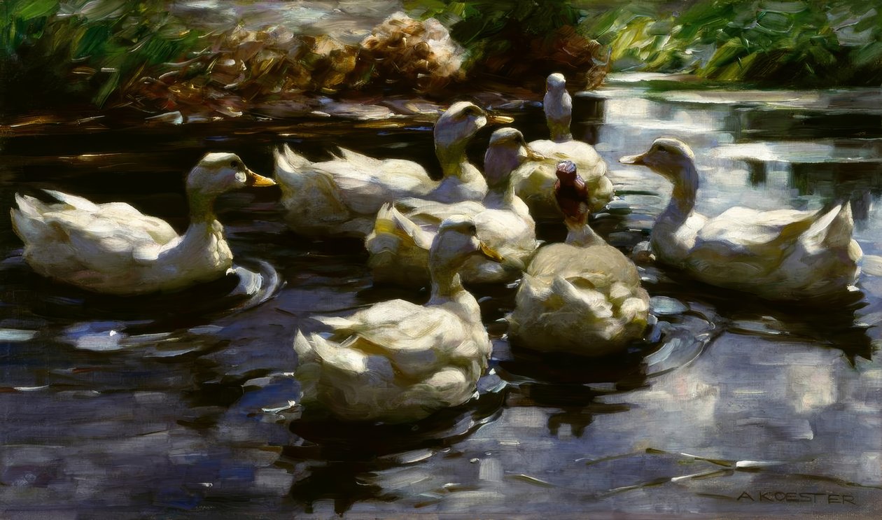 A.Koester, patos na lagoa de Alexander Köster