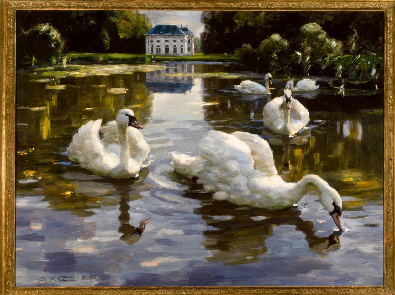 A.Koester, cisnes em Nymphenburg de Alexander Köster