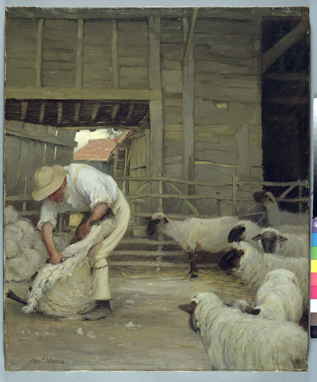 Tosquia de Ovelhas de Alexander Mann