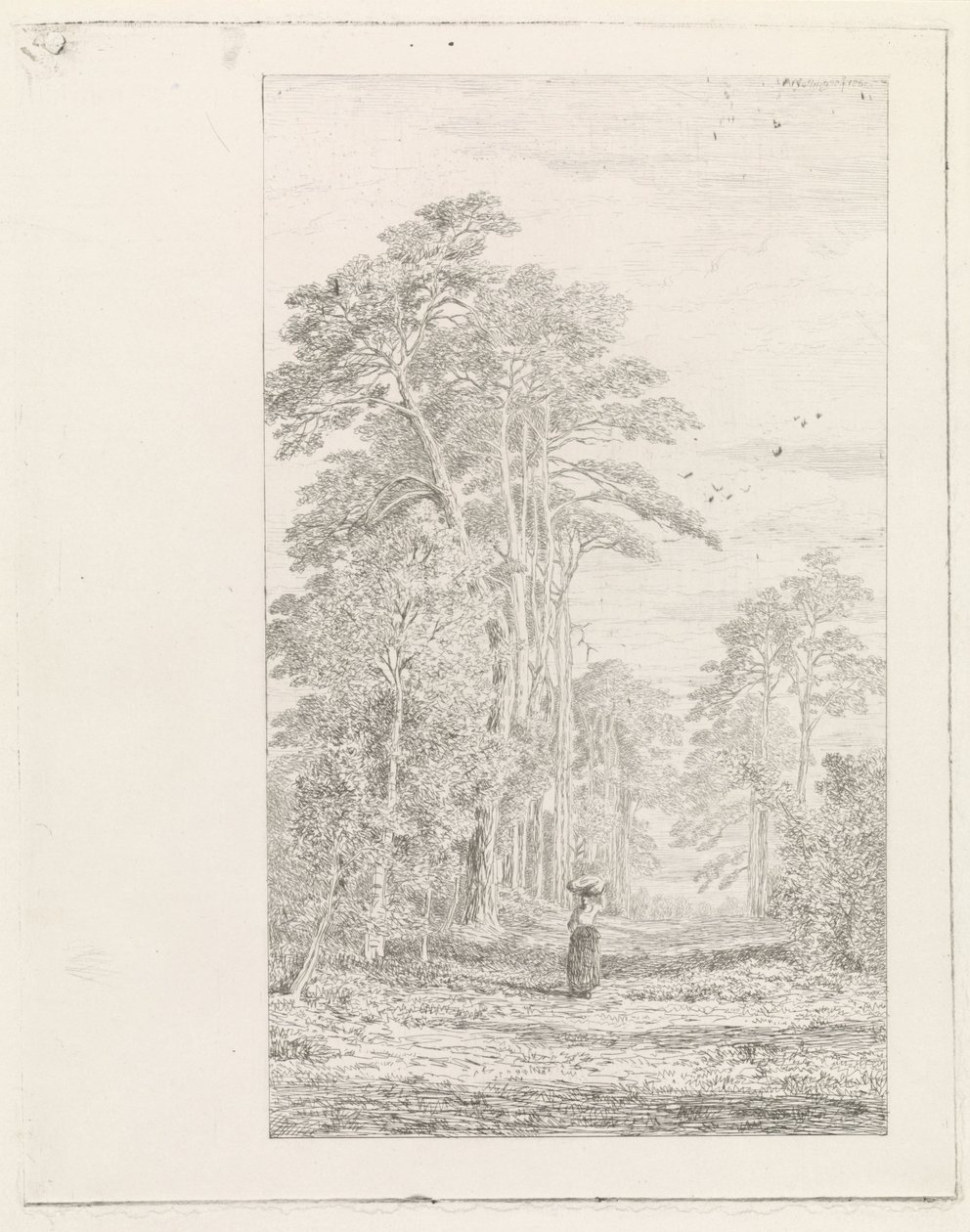 Dennenlaan de Alexander Mollinger