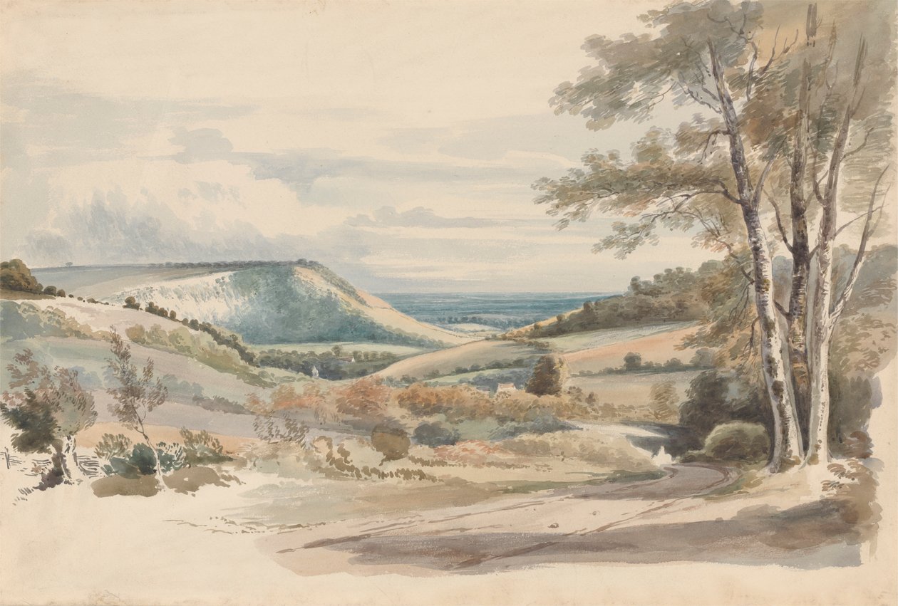 Boxhill de West Humble Lane de Alexander Monro