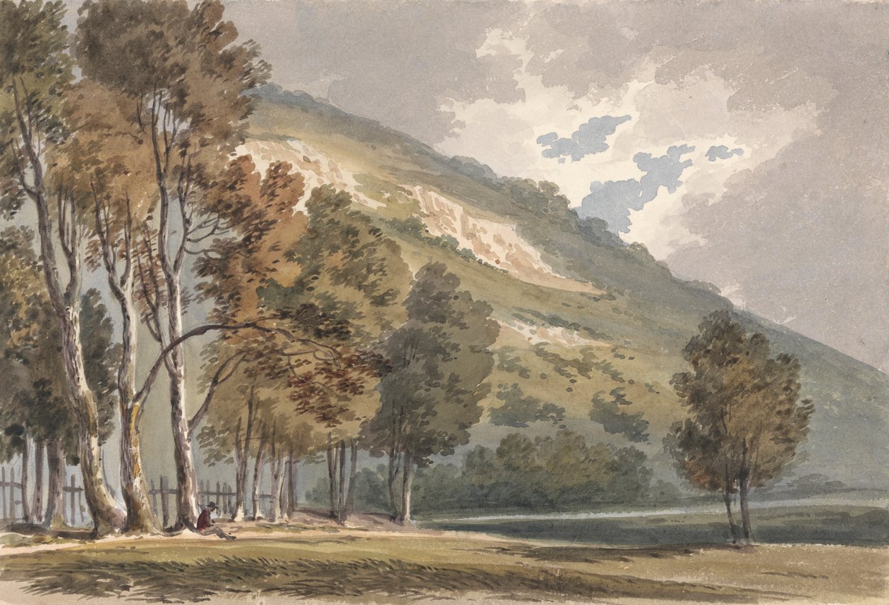Paisagem em Boxhill, Surrey de Alexander Monro