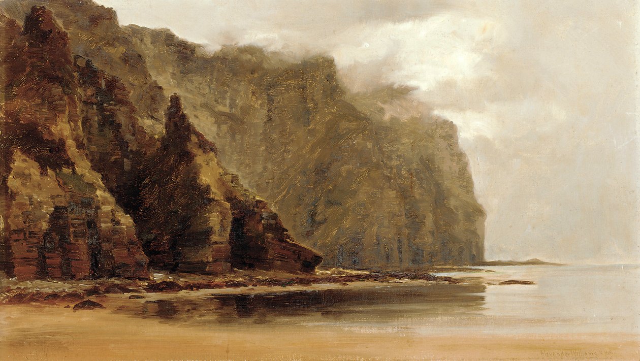 The Minaum Cliffs, Achill Island, County Connaught, Irlanda (óleo sobre tela) de Alexander Williams