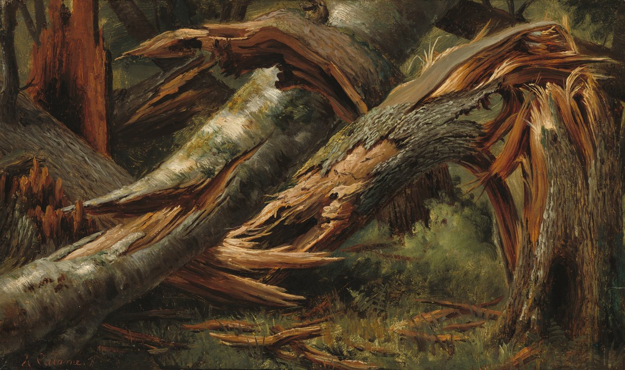 Árvore caída de Alexandre Calame