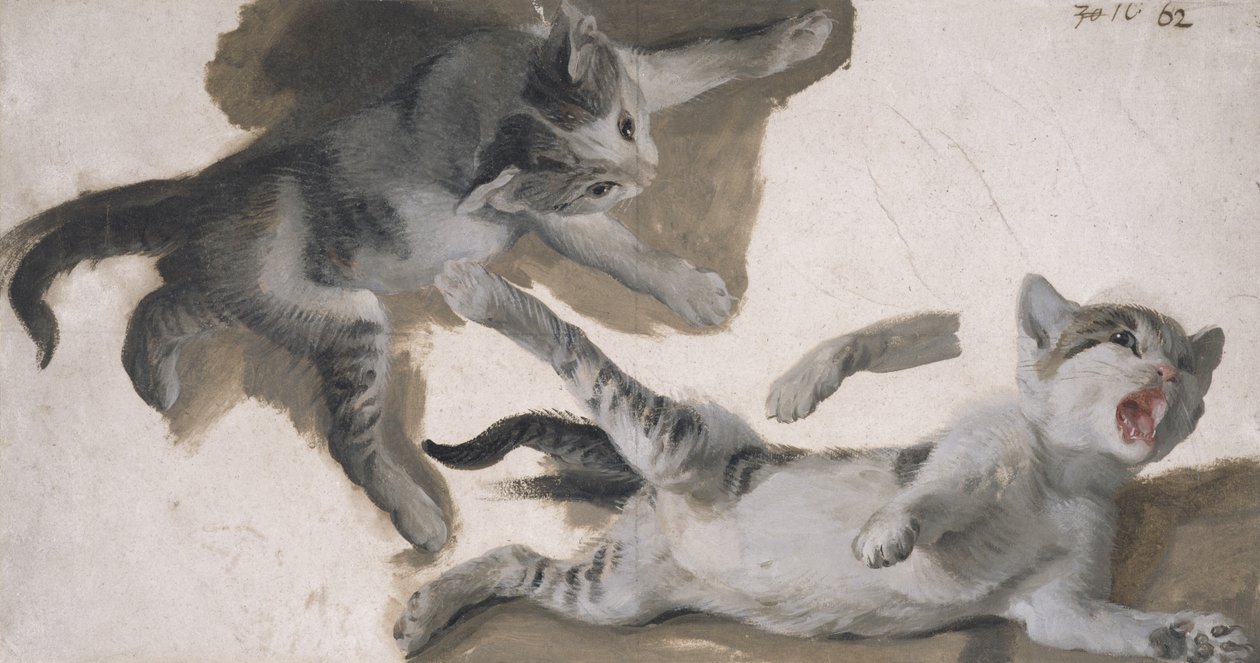 Esboços de um gatinho (óleo sobre papel) de Alexandre Francois Desportes