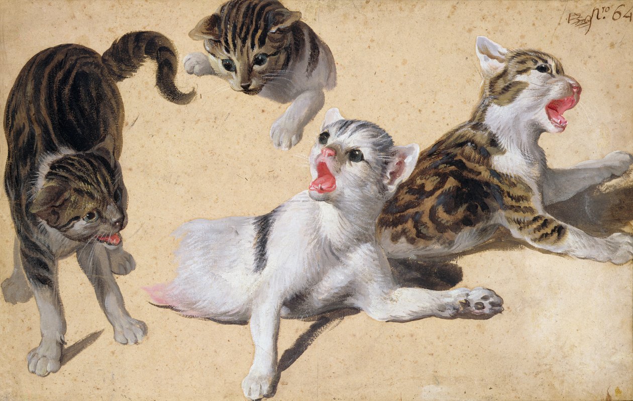 Quatro estudos de gatinhos (óleo sobre papel marrom claro) de Alexandre Francois Desportes