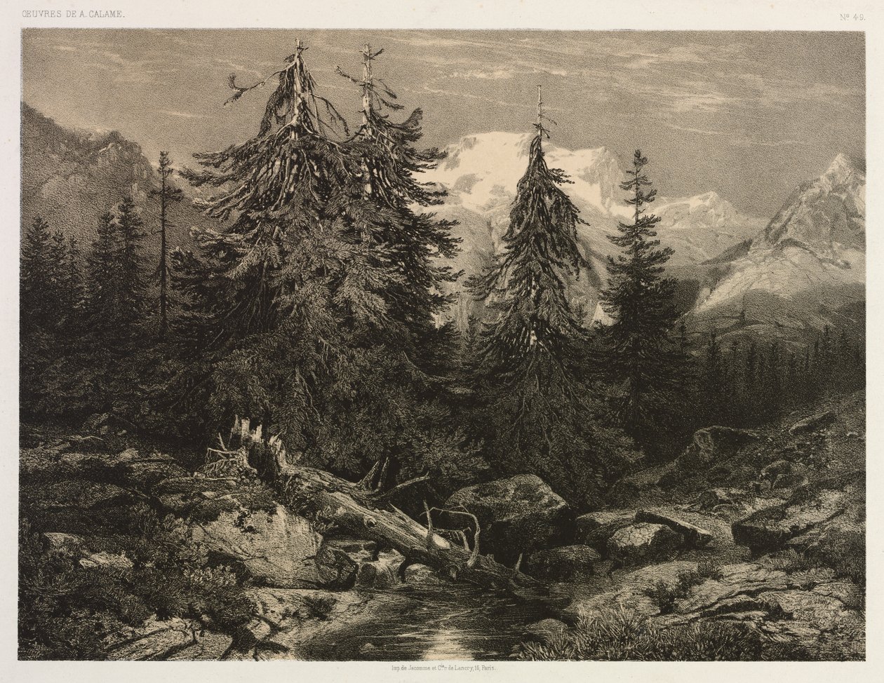 Córrego Alpino de Alexandre Calame
