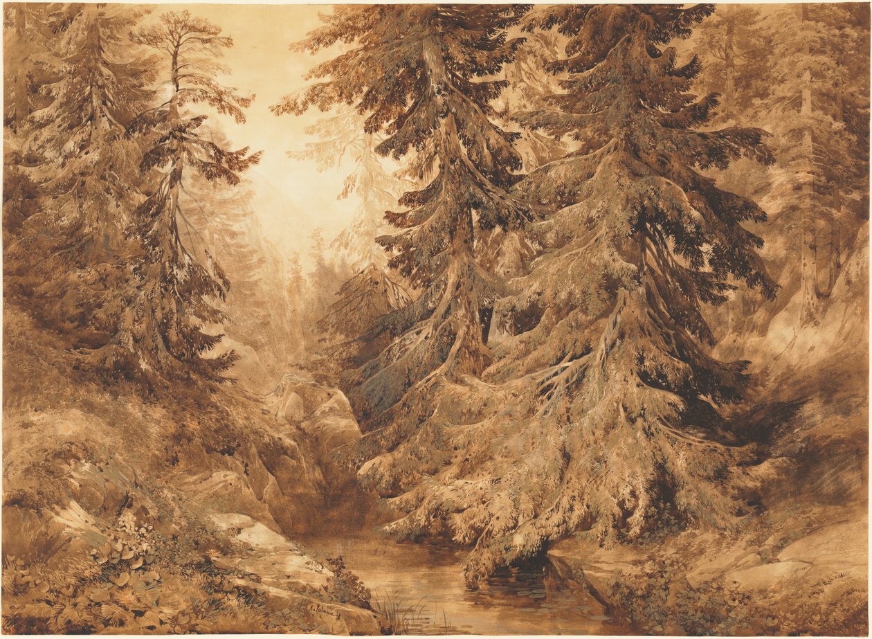Uma antiga floresta de pinheiros com um ribeiro de montanha de Alexandre Calame