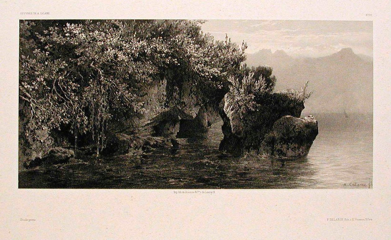 Margens do Lago de Genebra de Alexandre Calame