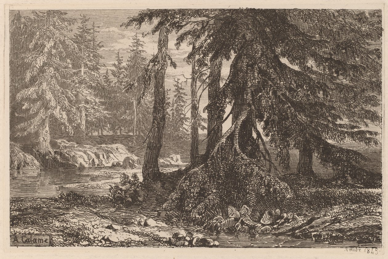 Ensaios de água-forte por Alexandre Calame, III, pl. 16 de Alexandre Calame