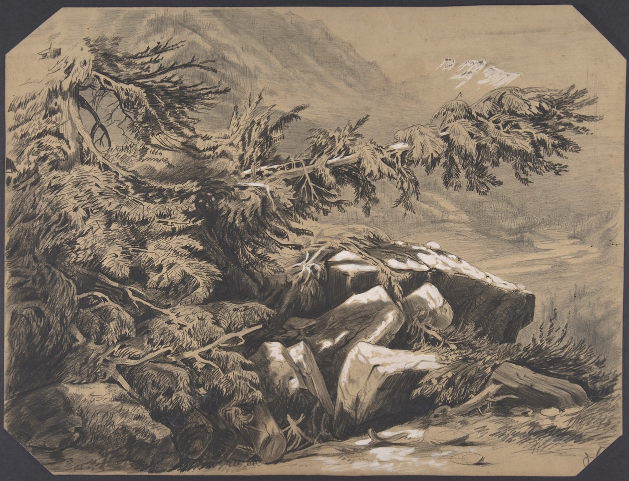 Florestas e Montanhas de Alexandre Calame
