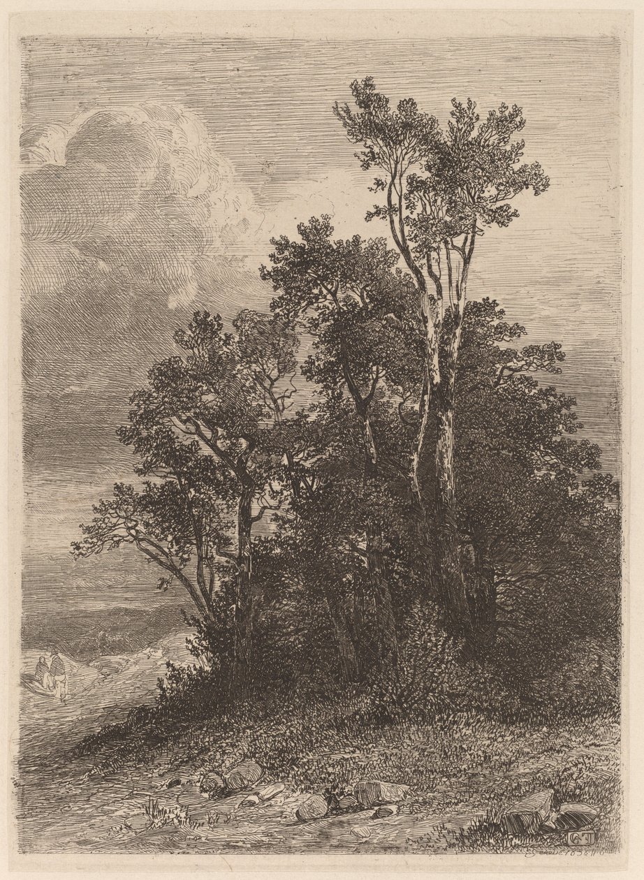 Bosque das Árvores de Alexandre Calame