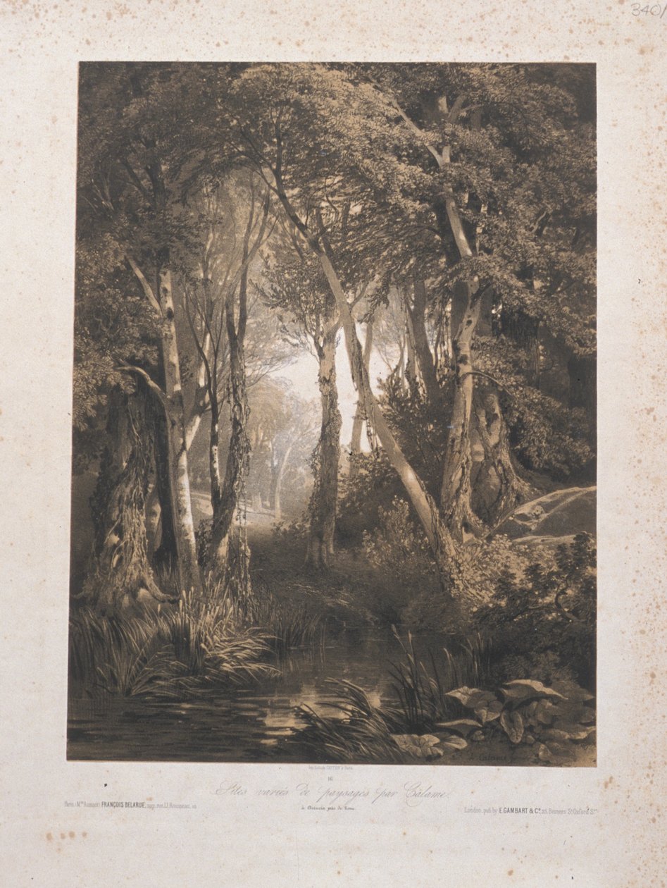 Paisagem de Alexandre Calame