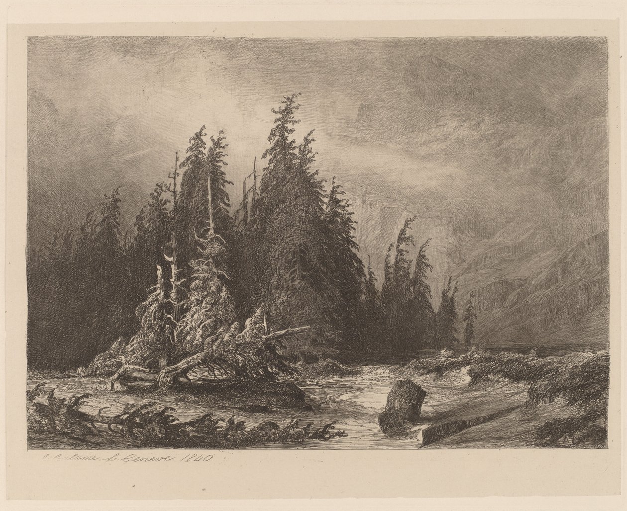 Pinheiros de montanha de Alexandre Calame