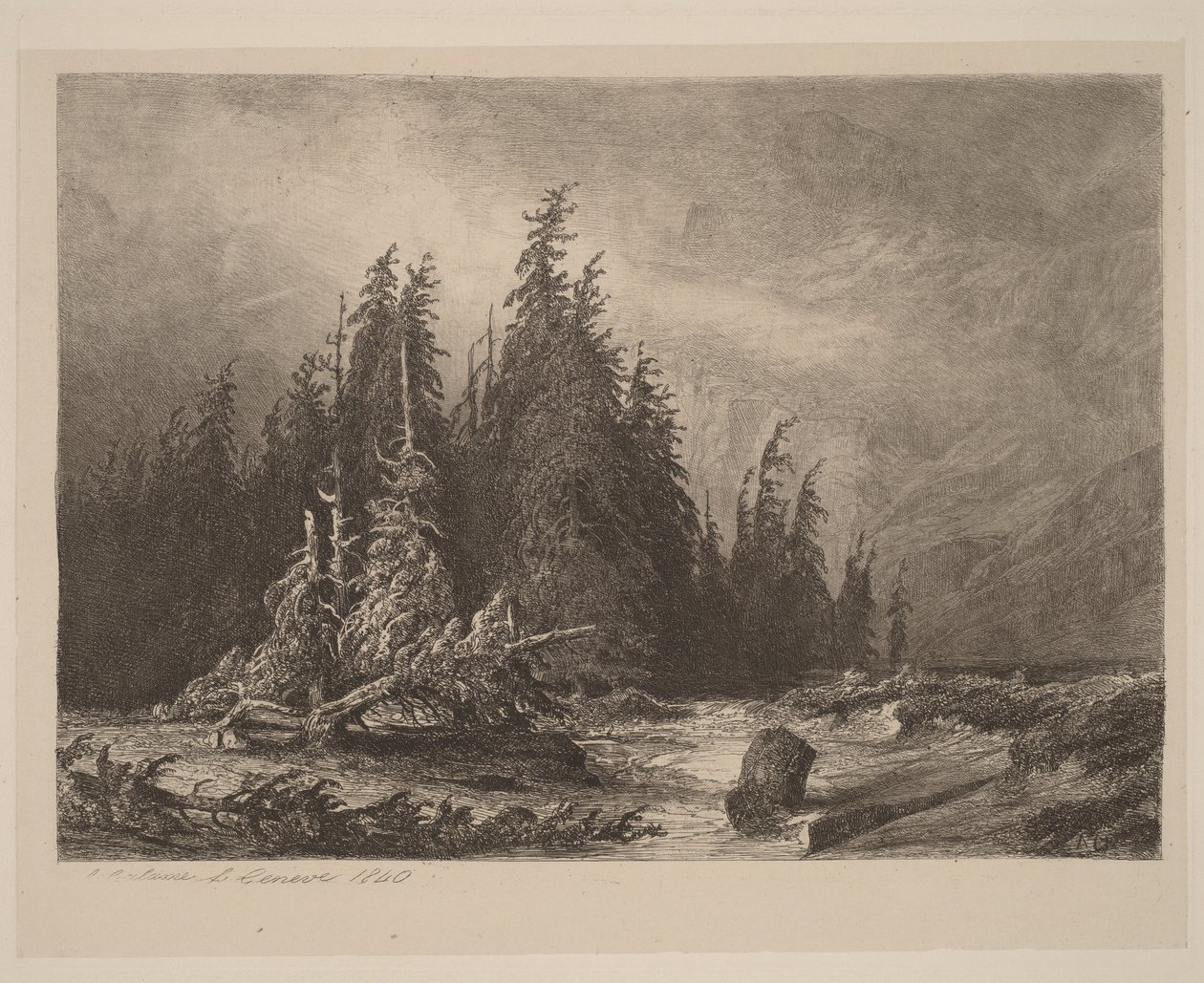Pinheiros de montanha de Alexandre Calame