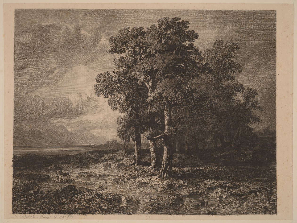 Árvores numa tempestade de Alexandre Calame