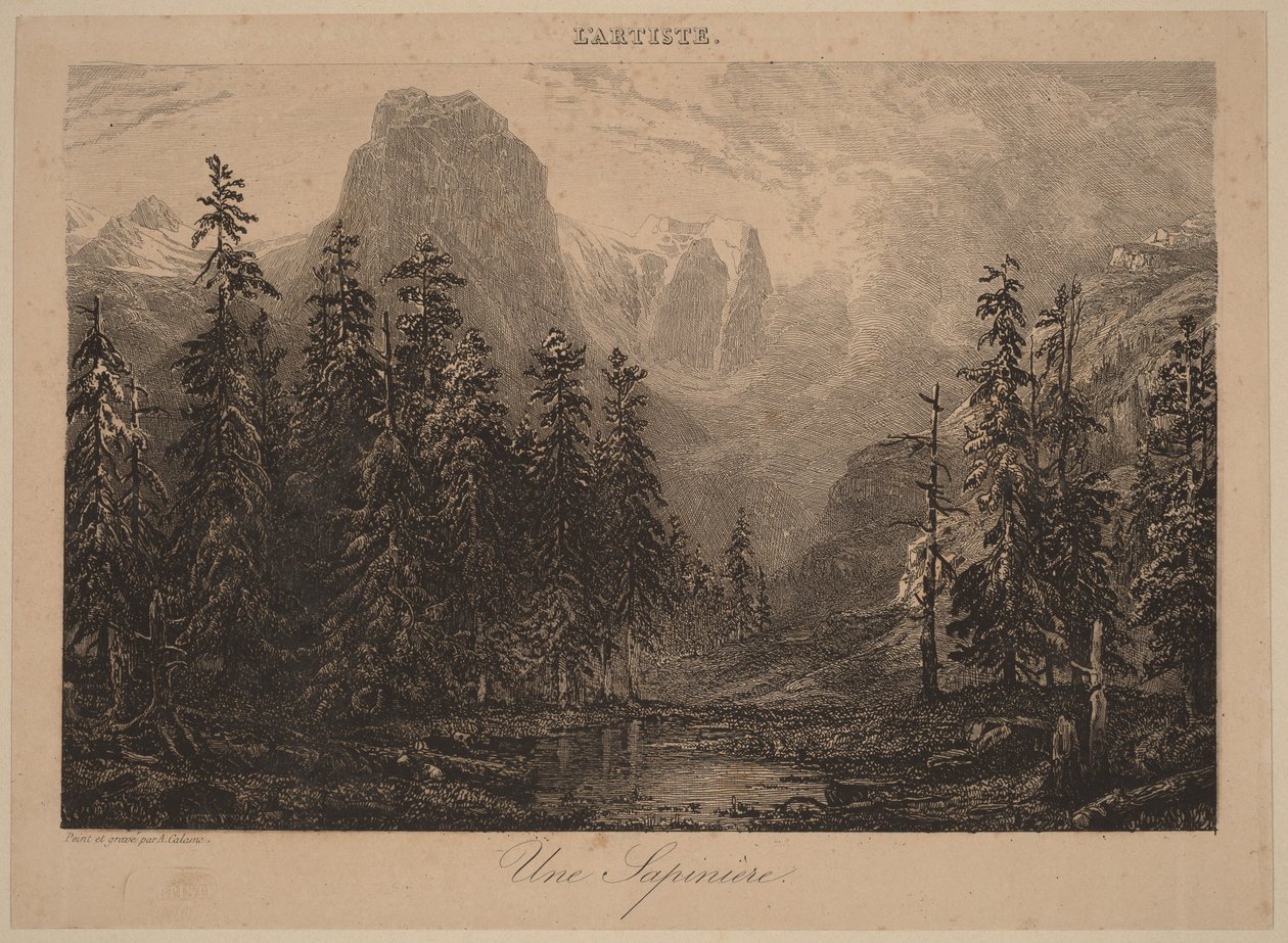 Um bosque de abetos de Alexandre Calame