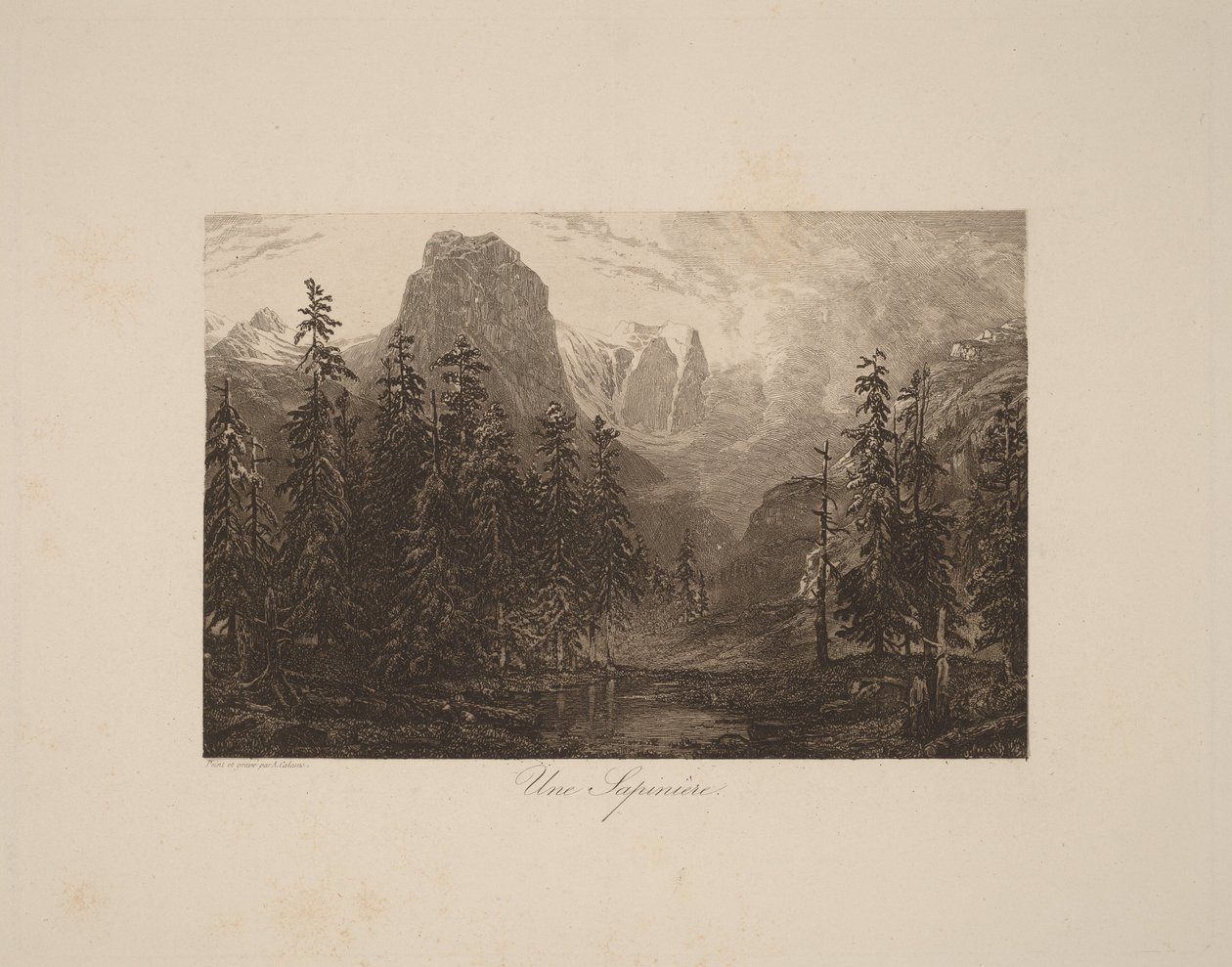 Um bosque de abetos de Alexandre Calame