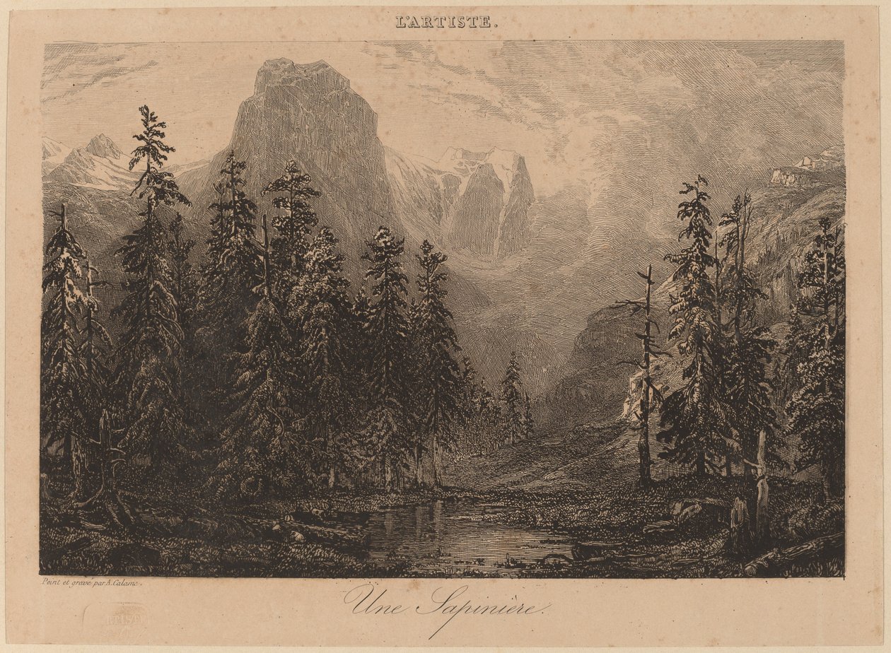 Une Sapinière de Alexandre Calame