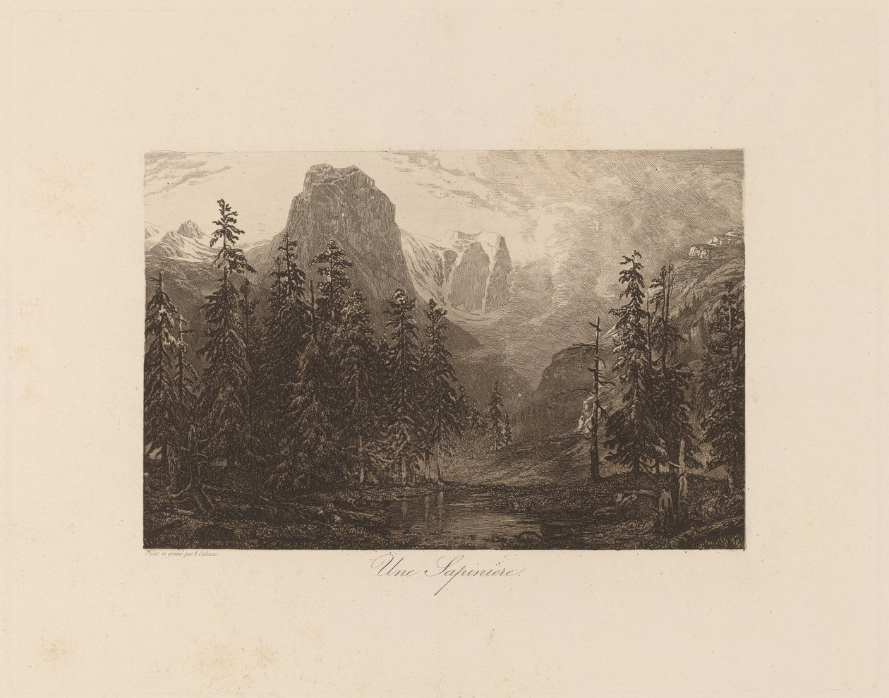 Um abeto de Alexandre Calame