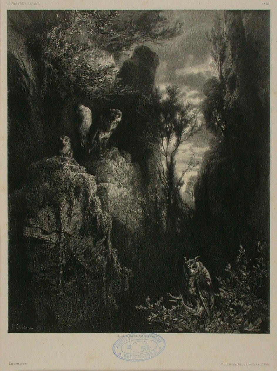 Sem título de Alexandre Calame
